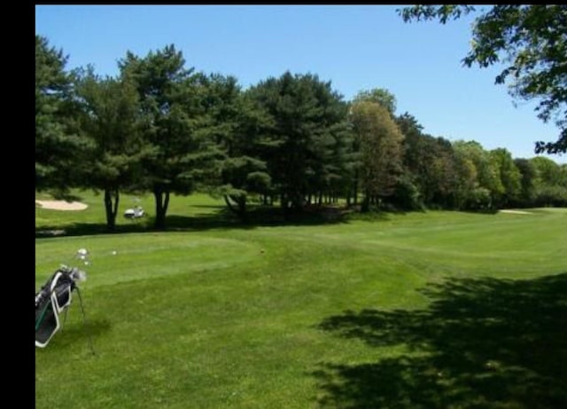 view of community with a lawn