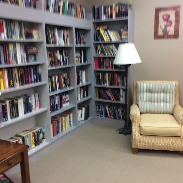 living area featuring carpet floors