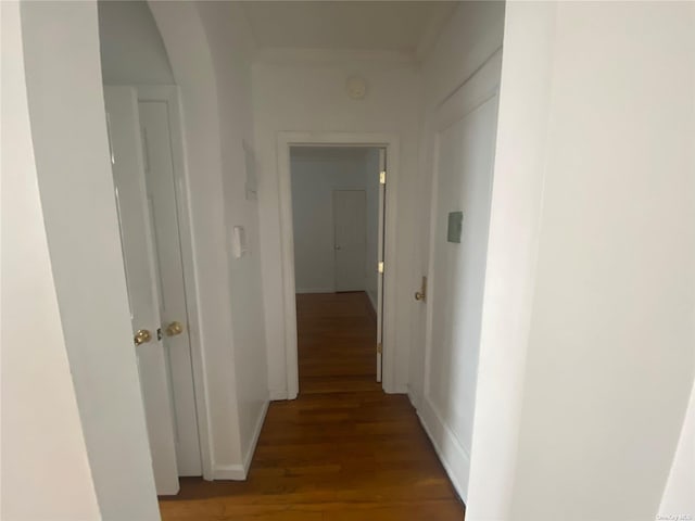 hallway featuring dark hardwood / wood-style flooring