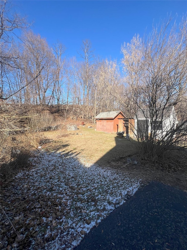 view of yard featuring an outdoor structure