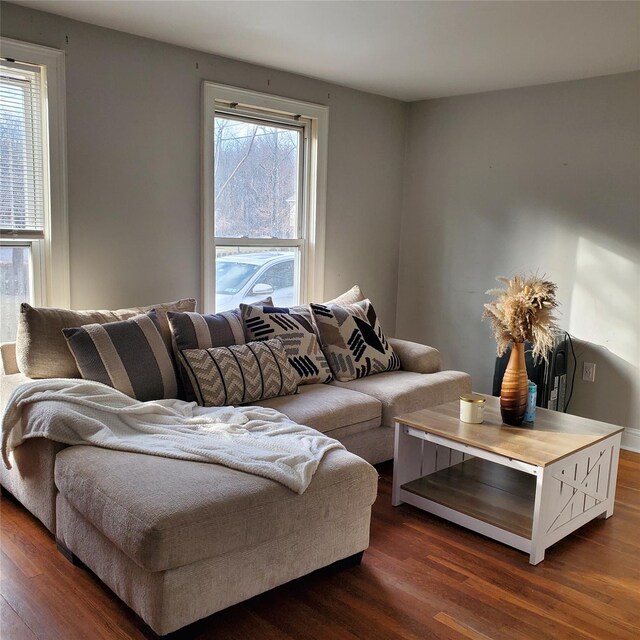 living room featuring dark hardwood / wood-style flooring and a healthy amount of sunlight