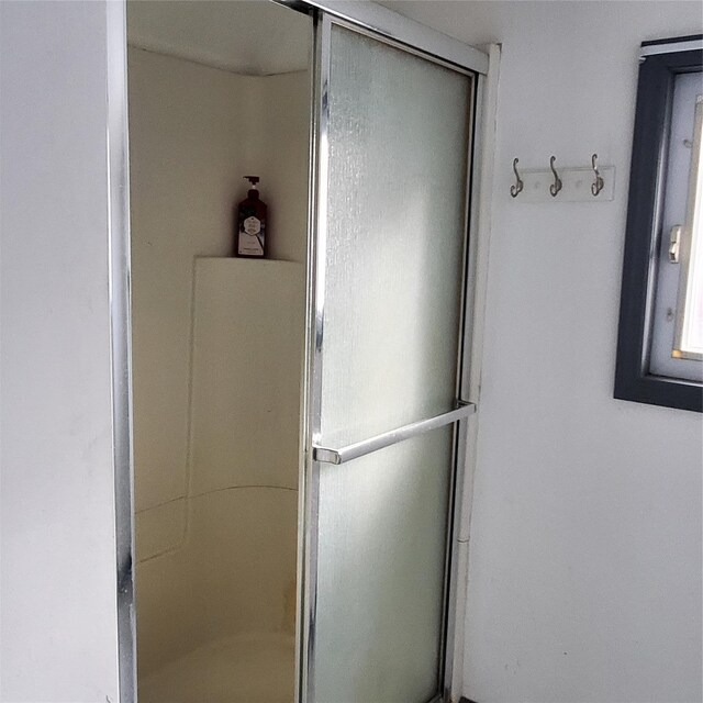 bathroom featuring a shower with door