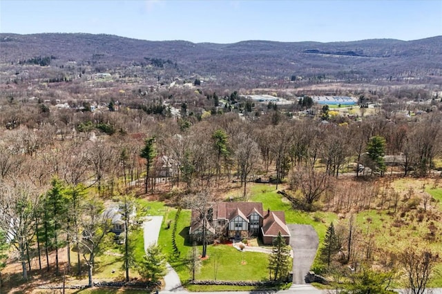 birds eye view of property featuring a mountain view