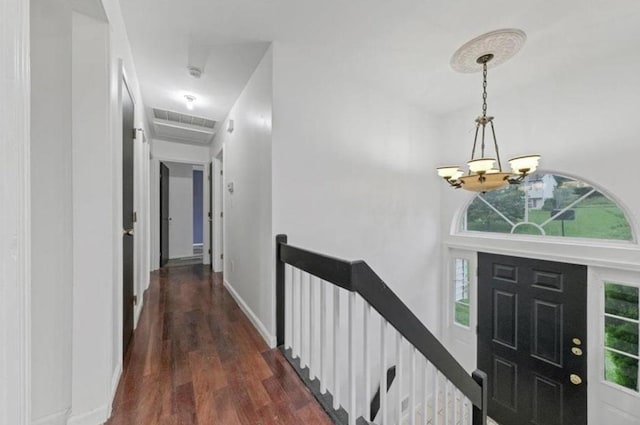 foyer entrance featuring a notable chandelier and dark hardwood / wood-style floors