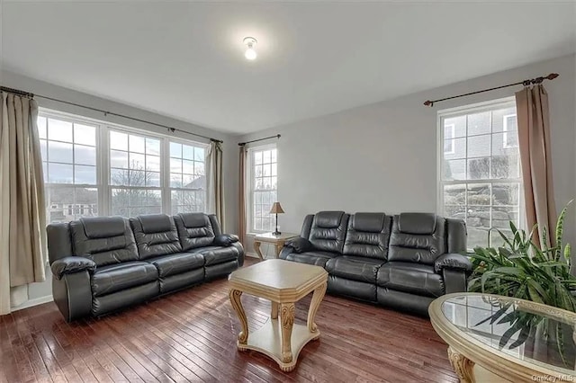 living room featuring dark hardwood / wood-style floors