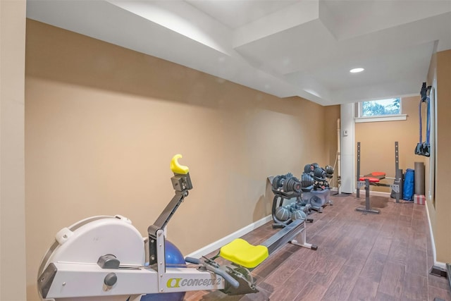 workout room featuring wood-type flooring