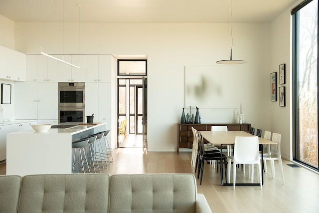 dining room with light hardwood / wood-style flooring and expansive windows