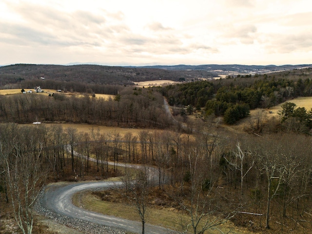 view of mountain feature featuring a rural view