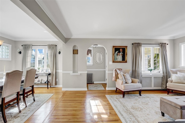 living room with radiator heating unit, light hardwood / wood-style flooring, and a healthy amount of sunlight