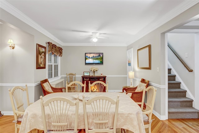 dining space with ceiling fan, light hardwood / wood-style floors, and crown molding