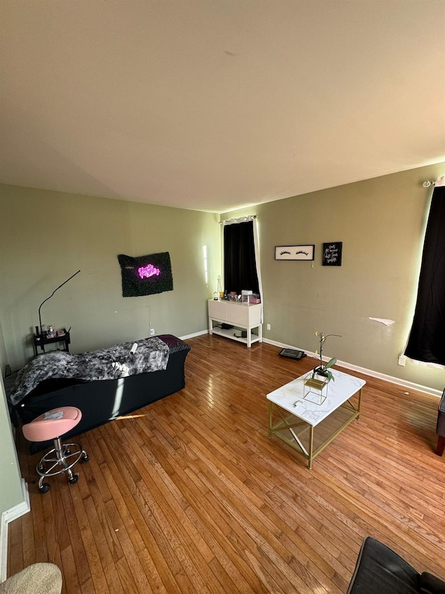 living room with hardwood / wood-style flooring