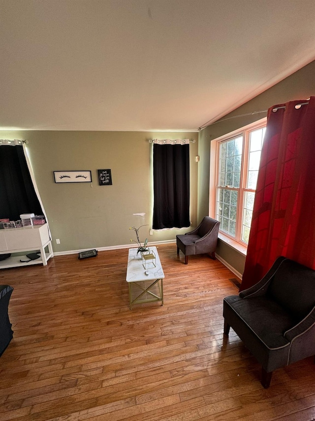 living room featuring wood-type flooring