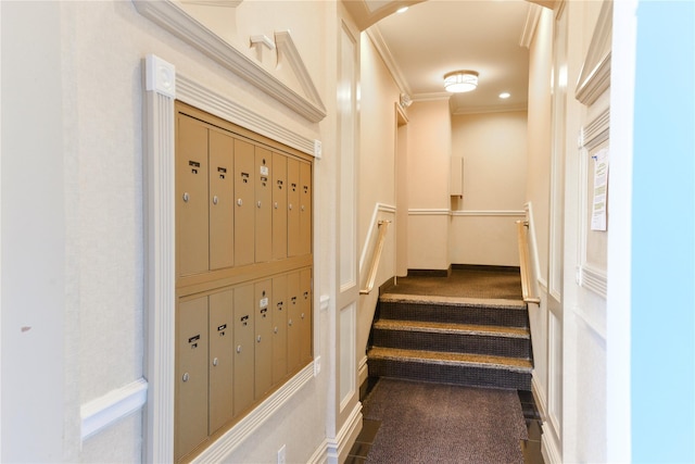 stairs with carpet floors and ornamental molding