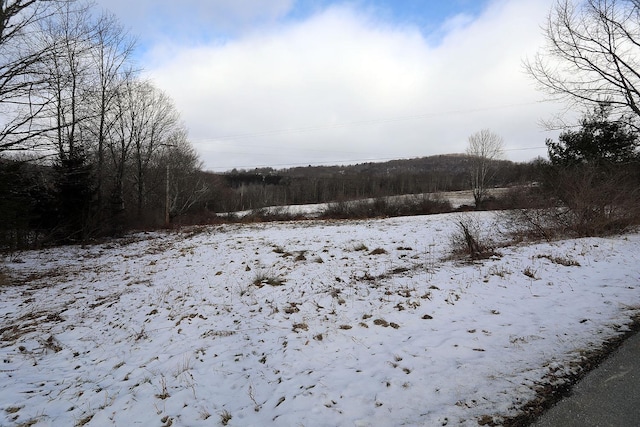 view of snowy landscape