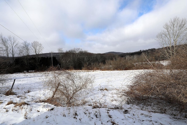 view of snowy yard