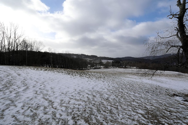 view of yard covered in snow