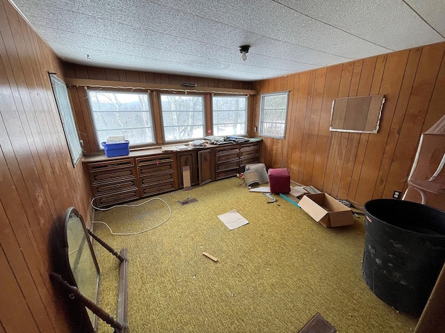 misc room featuring wood walls and carpet