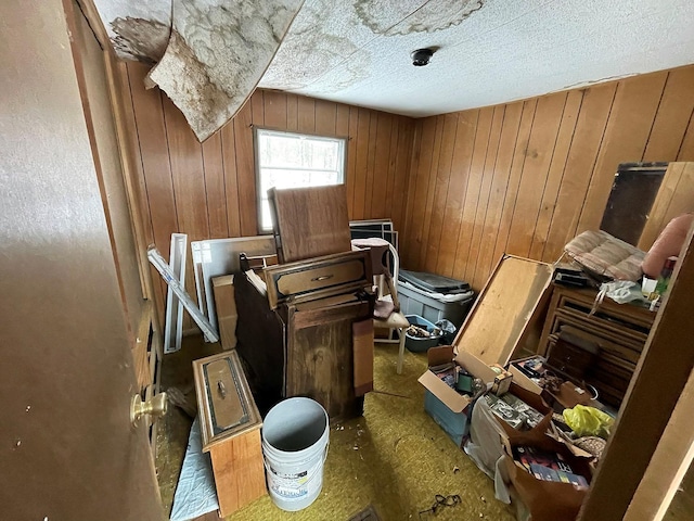 interior space with wooden walls