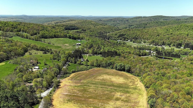 23 Peters Rd, Fremont, NY 12723 - bird's eye view of a forest