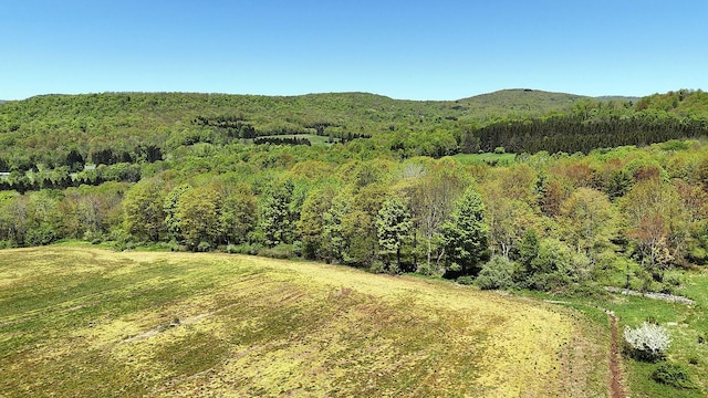 23 Peters Rd, Fremont, NY 12723 - mountain view with a heavily wooded area