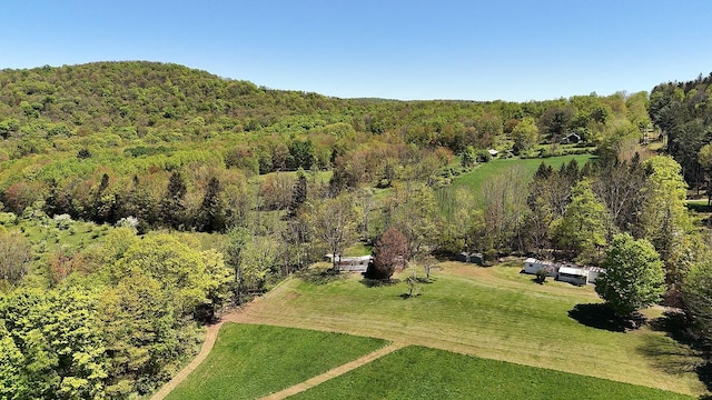 23 Peters Rd, Fremont, NY 12723 - bird's eye view of a heavily wooded area