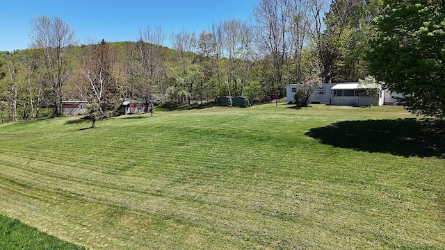 23 Peters Rd, Fremont, NY 12723 - view of green lawn with an outbuilding, a storage unit, and a forest view