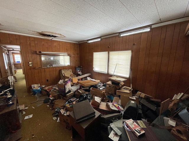 23 Peters Rd, Fremont, NY 12723 - miscellaneous room featuring healthy amount of natural light, wood walls, and carpet floors