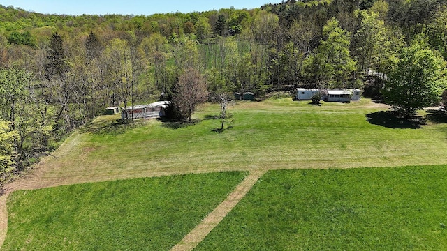 23 Peters Rd, Fremont, NY 12723 - view from above of property featuring a forest