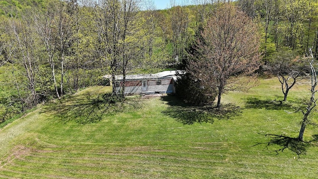 23 Peters Rd, Fremont, NY 12723 - view of green lawn