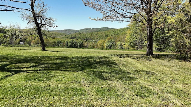 23 Peters Rd, Fremont, NY 12723 - view of grassy yard with a mountain view and a view of trees