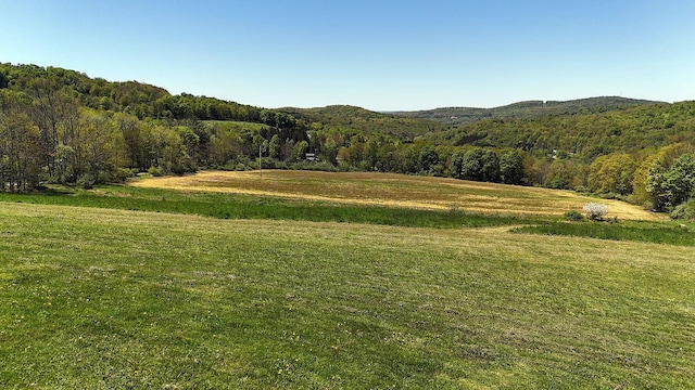 23 Peters Rd, Fremont, NY 12723 - view of property's community featuring a forest view, a yard, and a view of rural / pastoral area
