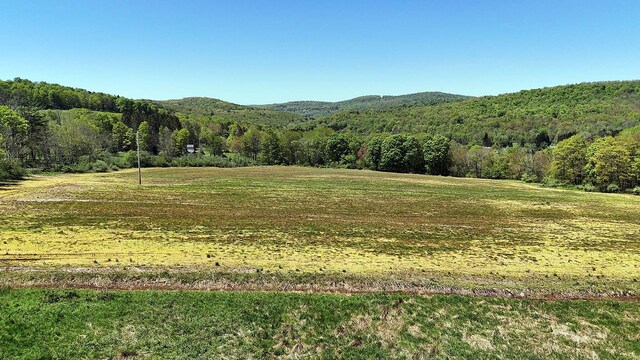 23 Peters Rd, Fremont, NY 12723 - view of mountain backdrop with a forest