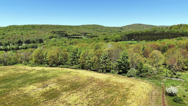 23 Peters Rd, Fremont, NY 12723 - mountain view with a heavily wooded area