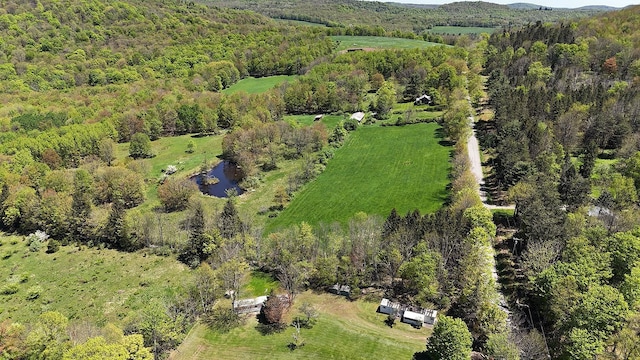 23 Peters Rd, Fremont, NY 12723 - drone / aerial view of a forest