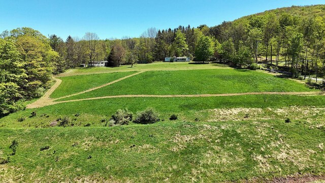 23 Peters Rd, Fremont, NY 12723 - view of property's community with a lawn and a wooded view