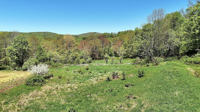 23 Peters Rd, Fremont, NY 12723 - view of mountain background featuring a forest