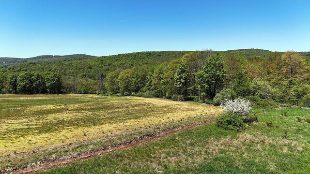 23 Peters Rd, Fremont, NY 12723 - view of mountain backdrop featuring a heavily wooded area