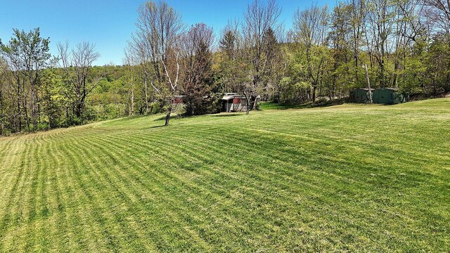 23 Peters Rd, Fremont, NY 12723 - view of green lawn with a shed and an outdoor structure