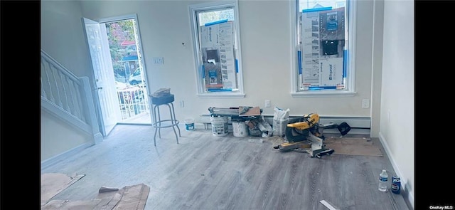 miscellaneous room featuring hardwood / wood-style floors and a healthy amount of sunlight