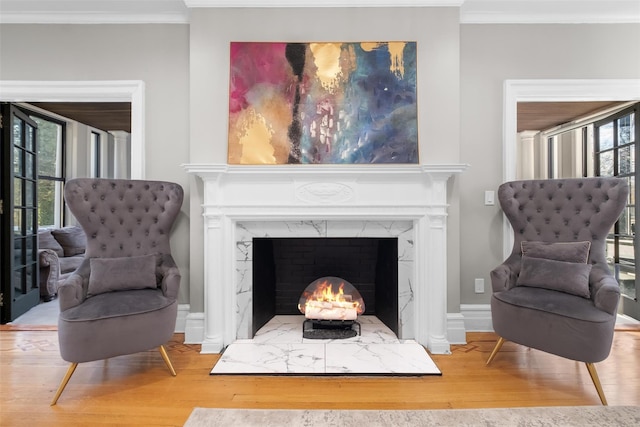 sitting room featuring ornamental molding, plenty of natural light, and a fireplace