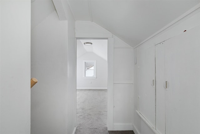 walk in closet featuring carpet flooring and vaulted ceiling