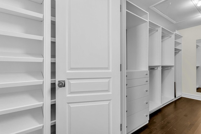 spacious closet with dark hardwood / wood-style flooring