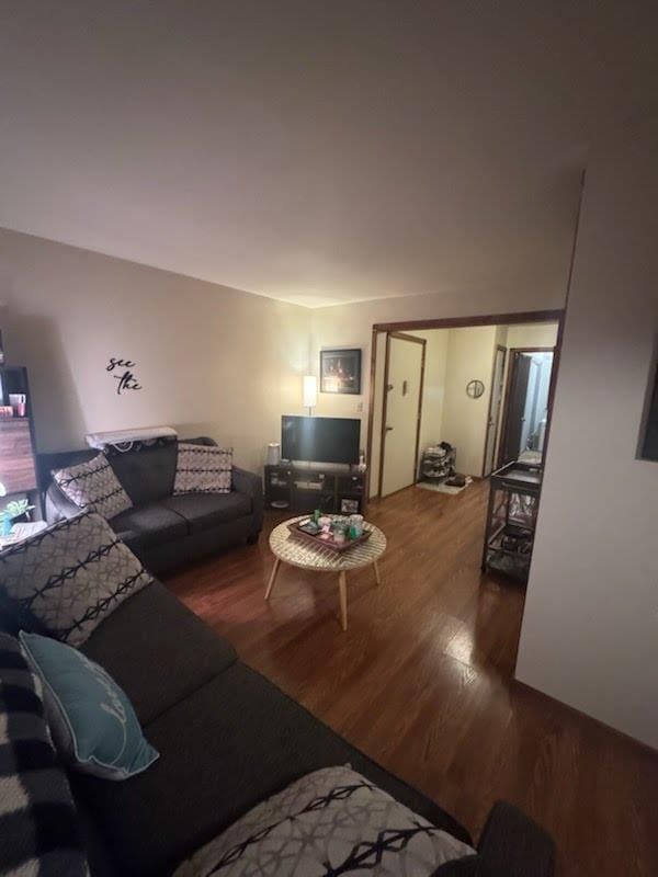 living room featuring wood-type flooring