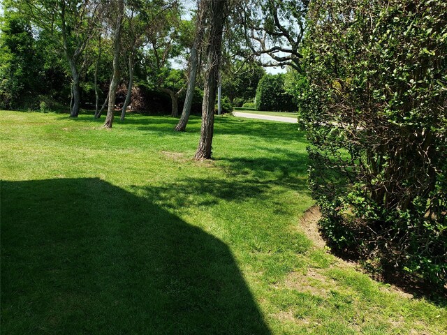 90 Peconic Ave, Shelter Island, NY 11964 - photo 45