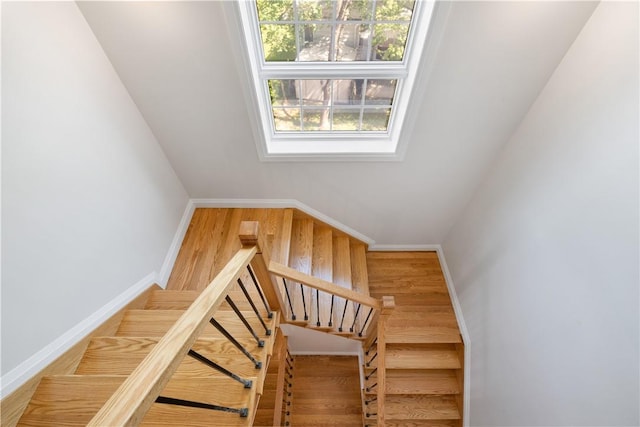 staircase with hardwood / wood-style floors