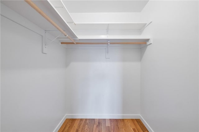 spacious closet featuring wood-type flooring