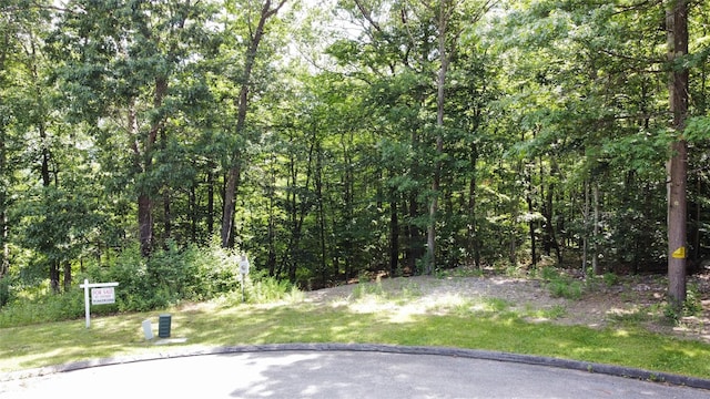 36 Sylvia Barlow Way, Brewster NY, 10509 land for sale