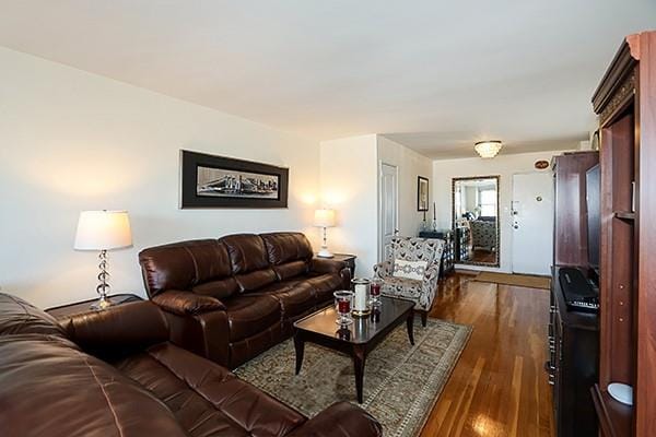 living room featuring dark hardwood / wood-style flooring