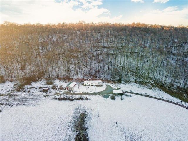 view of snowy aerial view