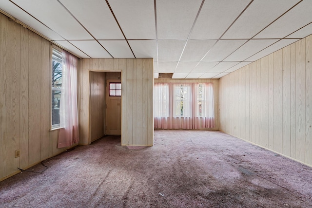 interior space with carpet flooring, a drop ceiling, and wood walls